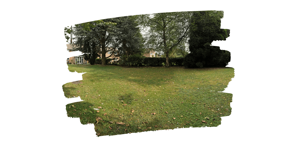 back yard