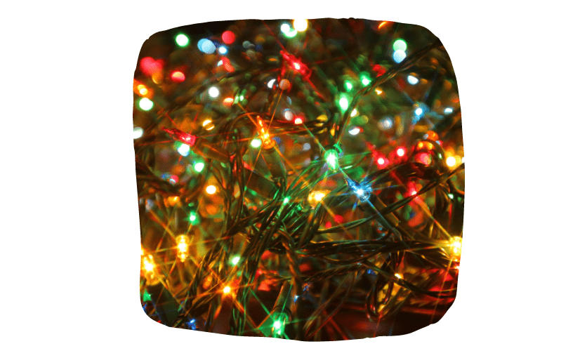 Keep Your Pets Safe During Christmas - Christmas lights