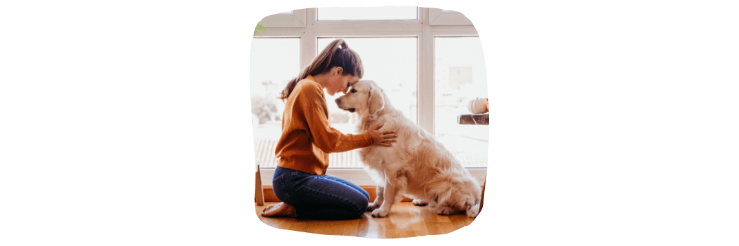 Having Pets In Rented Property