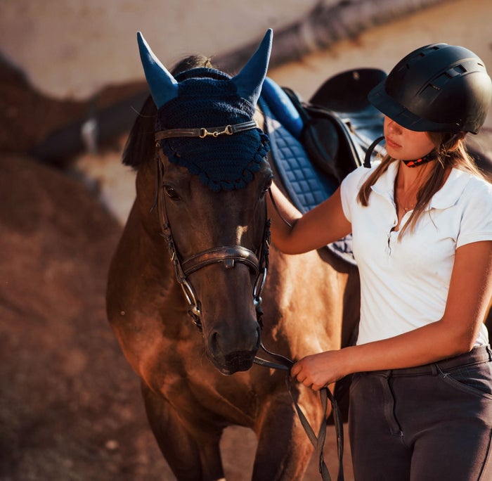 Equestrian clothes