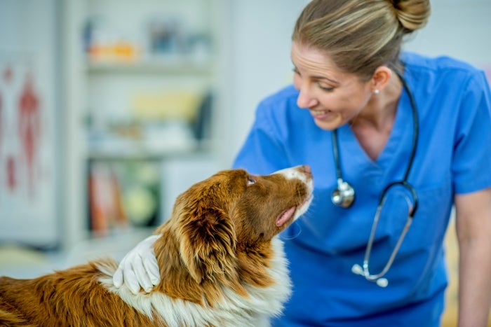 Get Ready For Love Your Pet Day 2025