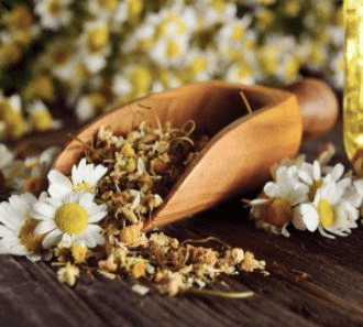 Chamomile