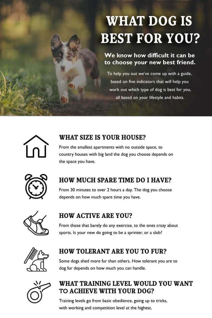 Infographic explaining how to choose the right dog by considering five factors: your home size, available time, activity level, tolerance for shedding, and the level of training you want to achieve with your dog.