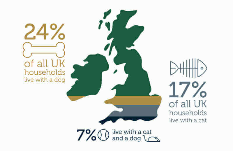 Infographic showing UK pet ownership: 24% of households have a dog, 17% have a cat, and 7% have both, highlighting that many homes successfully keep cats and dogs together.