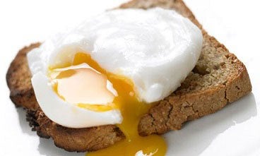 egg