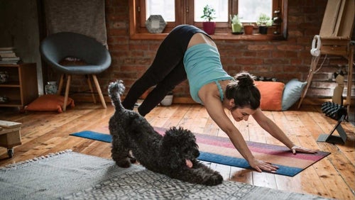 10 grundlæggende yogastillinger for begyndere | Yoga Made Easy