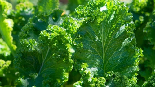 8 Sundhedsmæssige fordele ved B-vitaminer