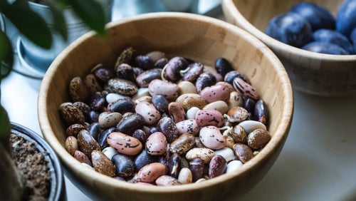 Vegan guide | Grønne proteiner til en vegansk livsstil