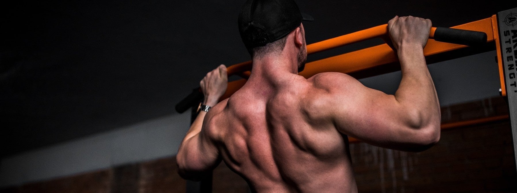 7 Important Nutrition Tips for Bodybuilding