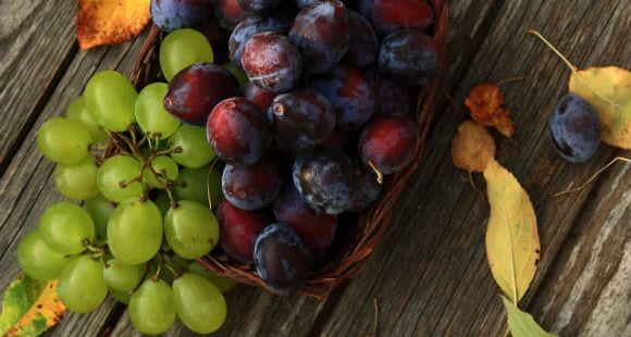 What is Trans Resveratrol? What are the Benefits? Dosage?