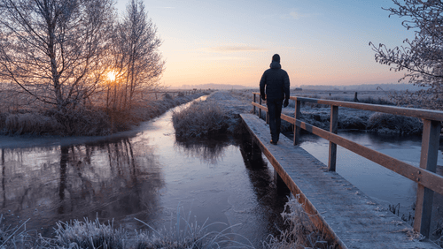 Tips to Boost Your Vitamin D Levels This Fall & Winter