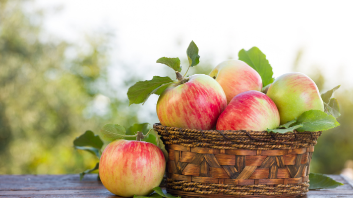 basket of apples