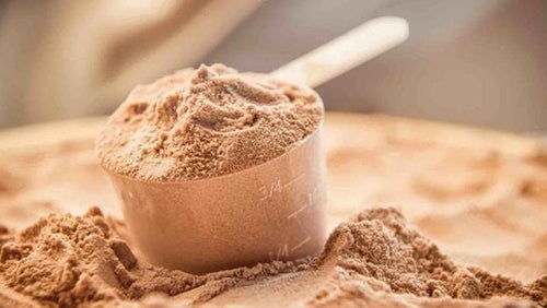 Whey Protein vs. Soy Protein | Which Is best?