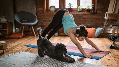 10 Basic Yoga Exercises For Beginners | Yoga Made Easy