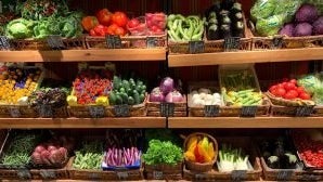 The 10 Most Nutrient-Dense Foods