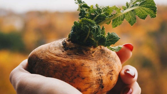 5 Maca Benefits | What Is Maca Root & What Does It Do?
