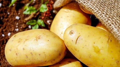 Patate douce VS Pomme de terre