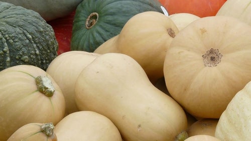 Pain maison sans gluten à base de courge butternut