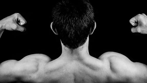 Comment construire son premier programme de musculation ?