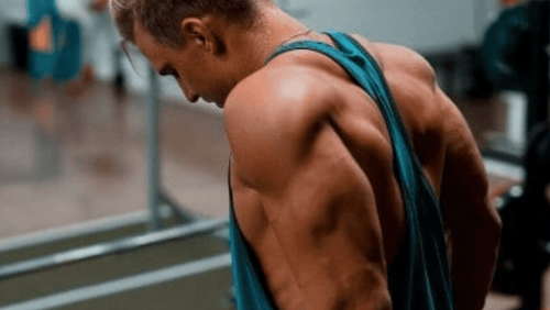 Développer la longue portion de votre triceps !