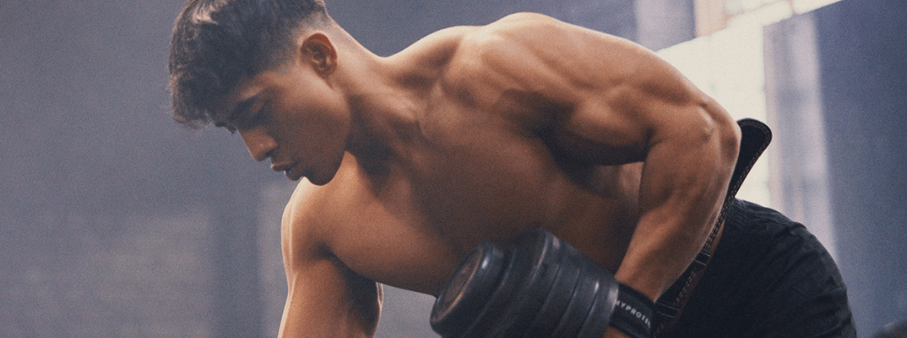 Tous les Exercices avec Haltère : Epaules, Triceps, Biceps, Pectoraux..