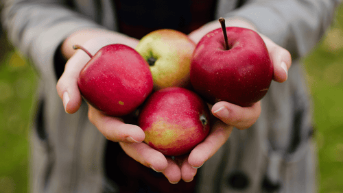 Tous les bienfaits du vinaigre de cidre de pomme