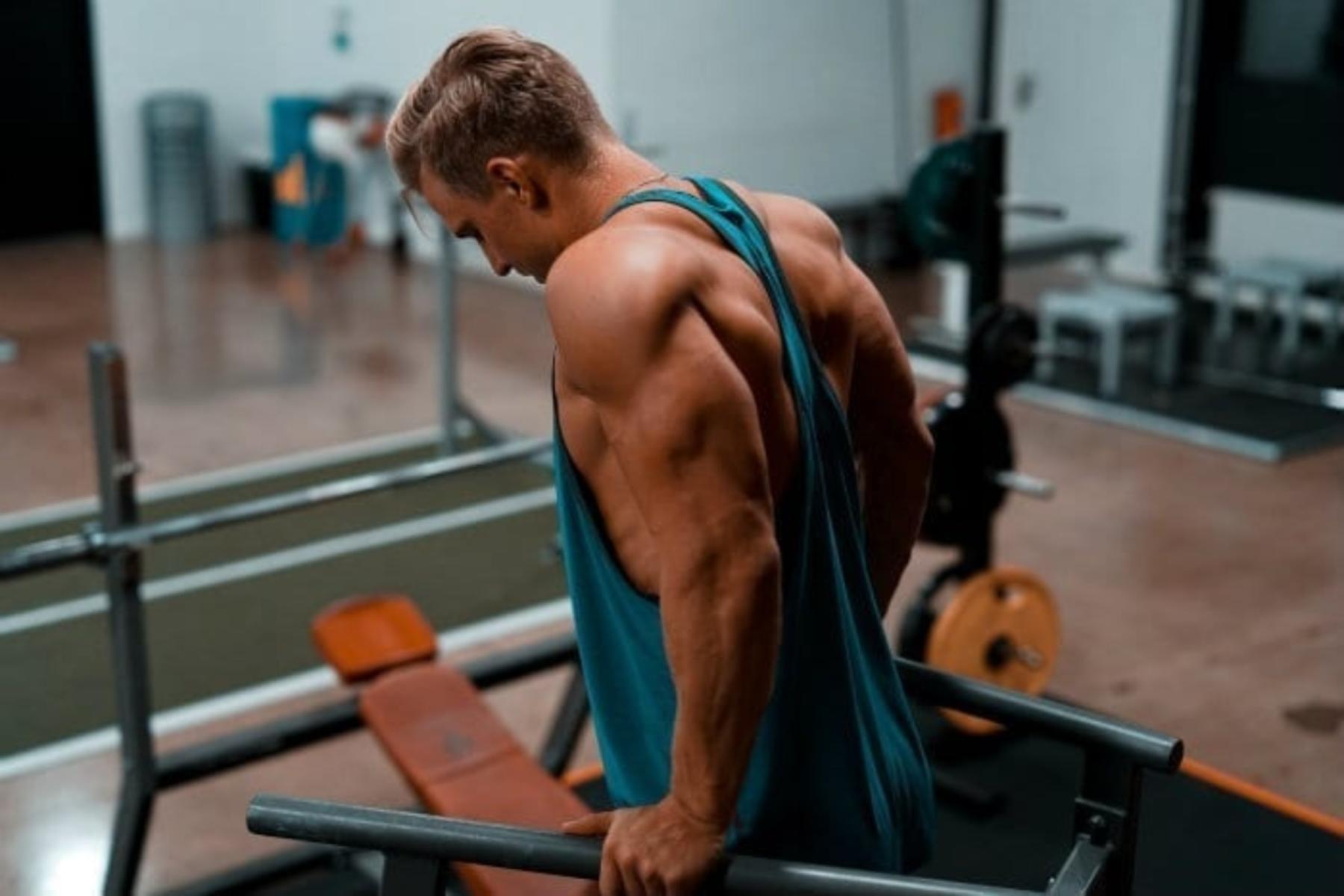 Comment grossir vos bras | Conseils & Entrainement
