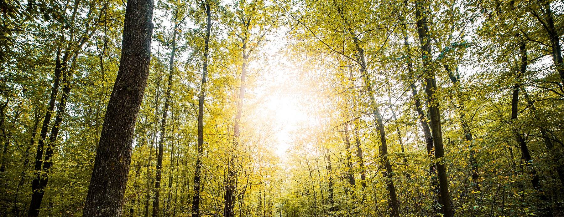Das sind die schönsten, deutschen Natur-Parks auf Instagram