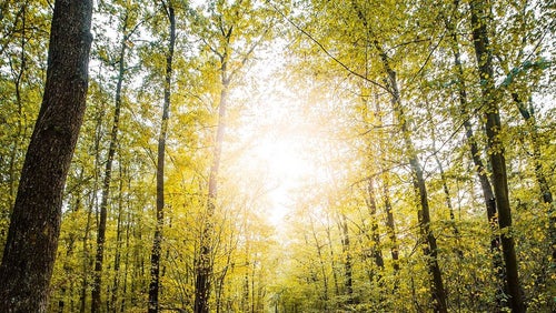 Das sind die schönsten, deutschen Natur-Parks auf Instagram