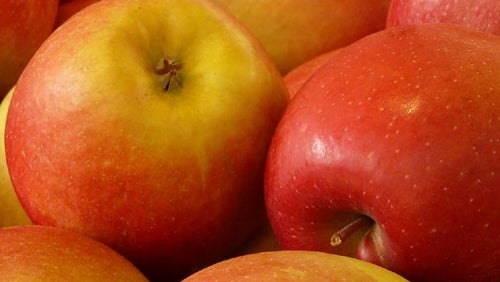 Apfel-Karotte Fitnesskuchen