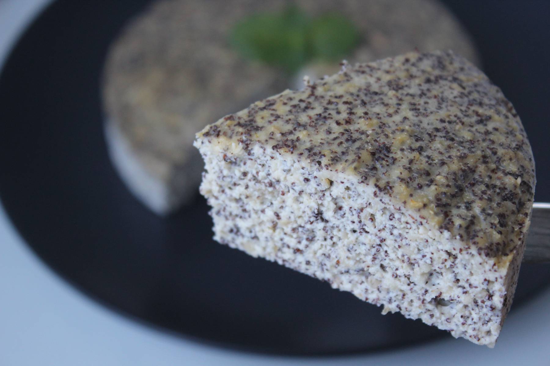 Saftiger Mohnkuchen | Protein Dessert