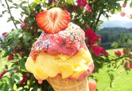 Quark macht Stark | Magerquark Lecker Zubereiten