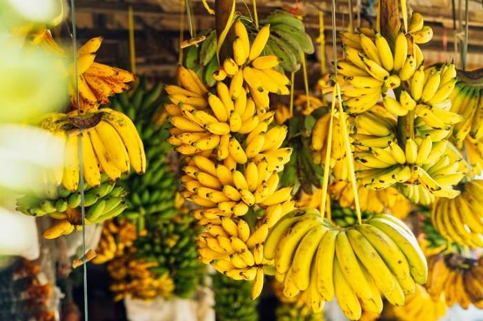 Top 10 Pre-Workout Foods