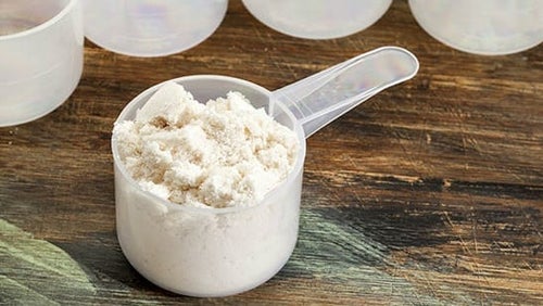 Plant-Based Protein vs Whey | Is Whey Protein Vegan?