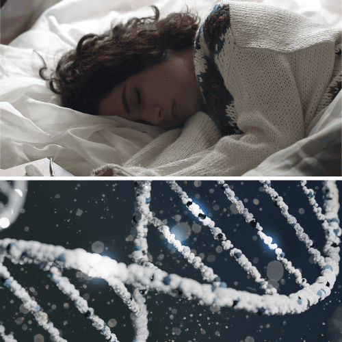 This Week's Top Studies: Sleep, Gut Function, & the Genetics Behind Obesity