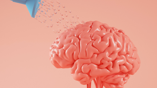 Brain Endurance Training Improves Performance Among Older Adults, Study Finds