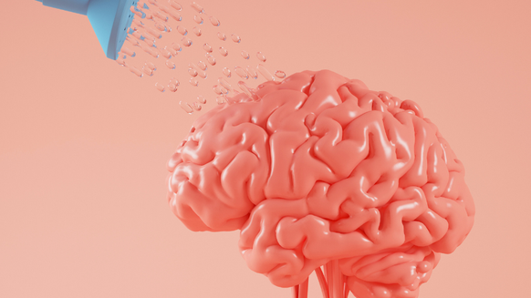 Brain Endurance Training Improves Performance Among Older Adults, Study Finds
