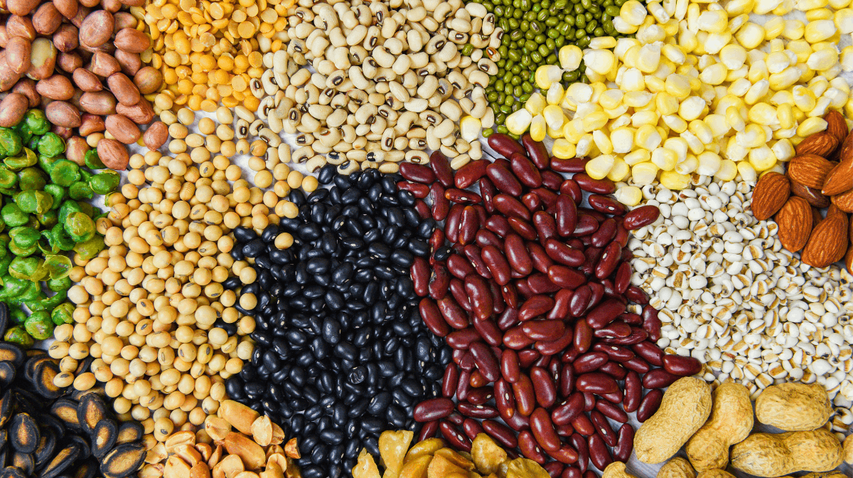 The Benefits of Fibre: Why the "Forgotten Carbohydrate" Matters