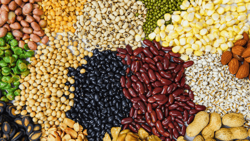 The Benefits of Fibre: Why the "Forgotten Carbohydrate" Matters