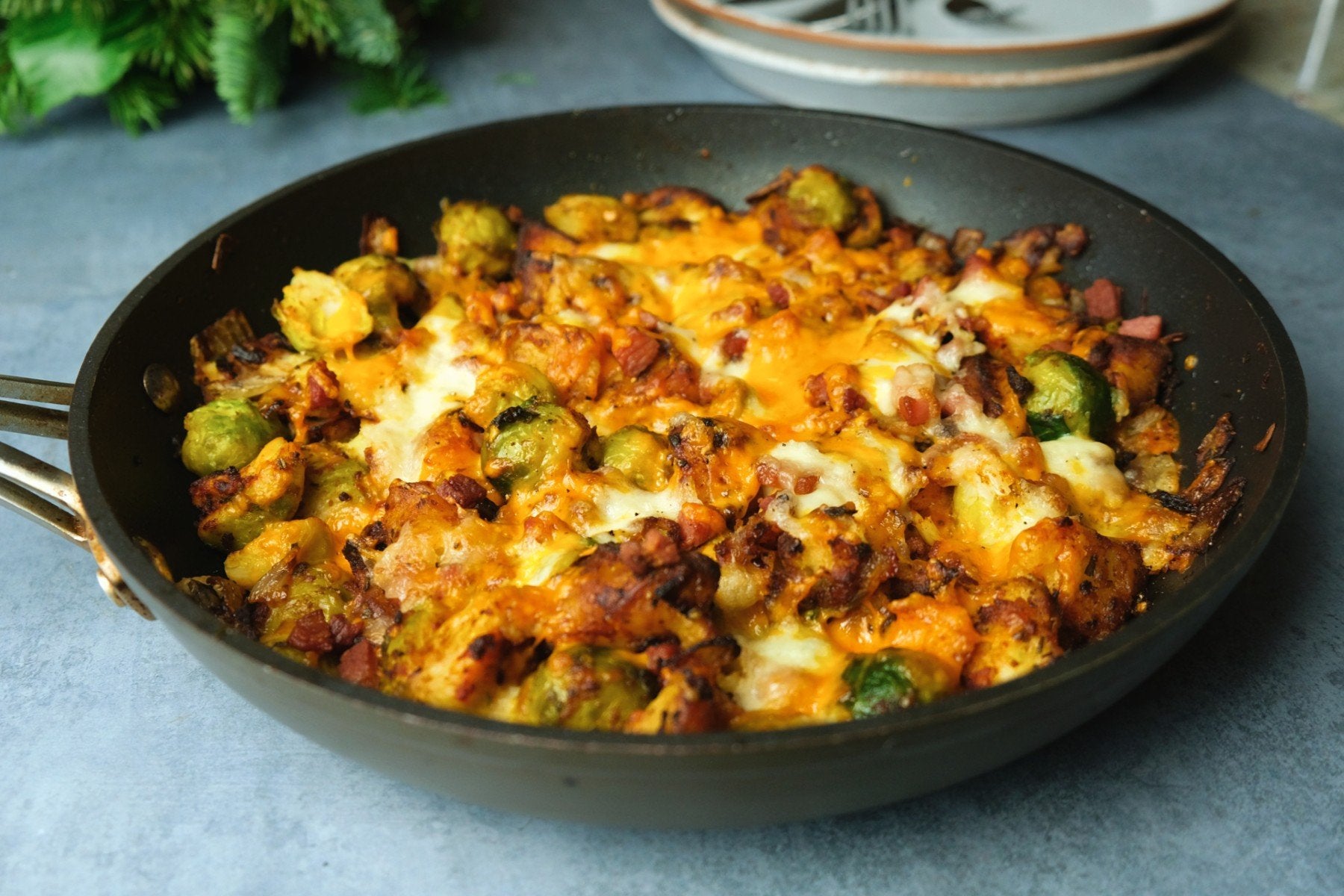 Sprossen-Pancetta-Auflauf mit Käse