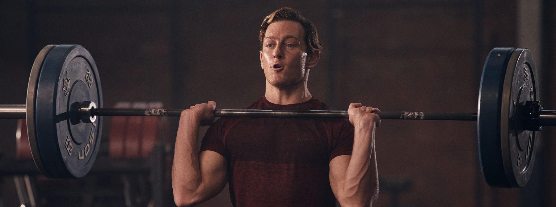 Effektives Shredding und Bulking | alles was du wissen musst