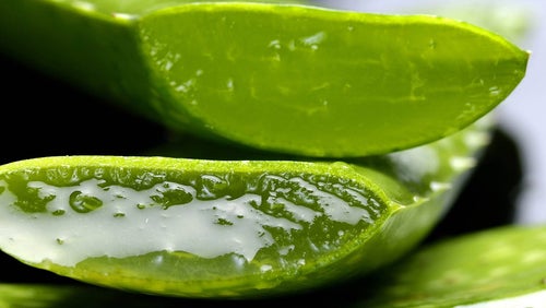 Die Vorteile von Aloe Vera & günstigere Alternativen