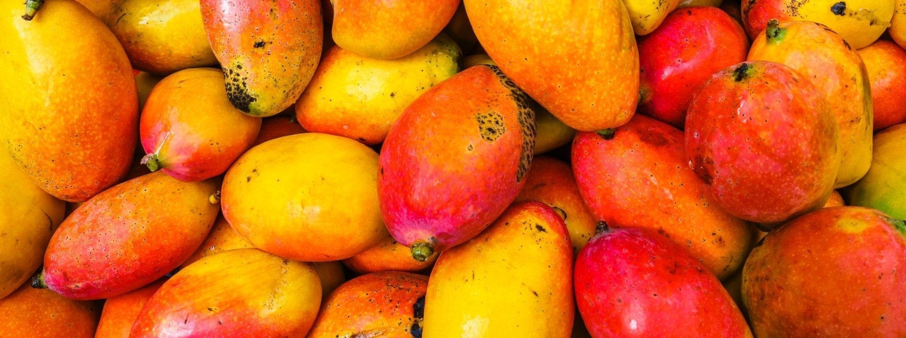 17 Lebensmittel, die reich an Vitamin A sind