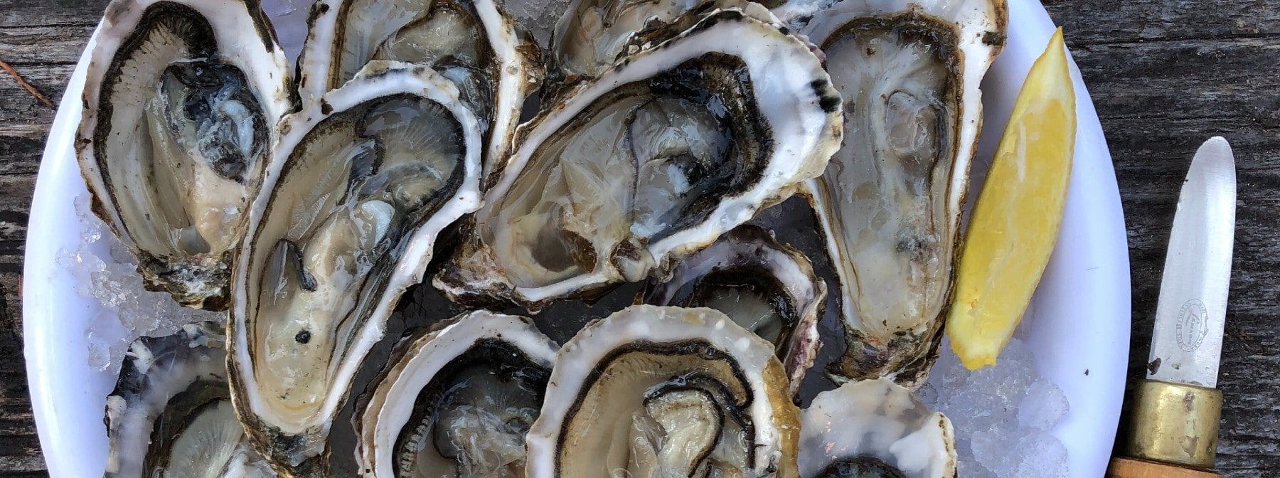Die Wahrheit über Aphrodisiaka | Wirkung auf Libido & Lebensmittel