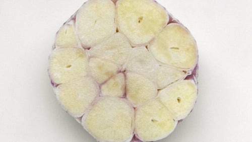3 Health Benefits of Garlic | Uses for Odourless Garlic