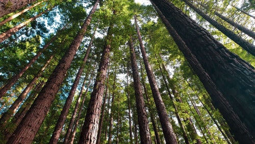 Where are Australia’s Most Instagrammable National Parks?