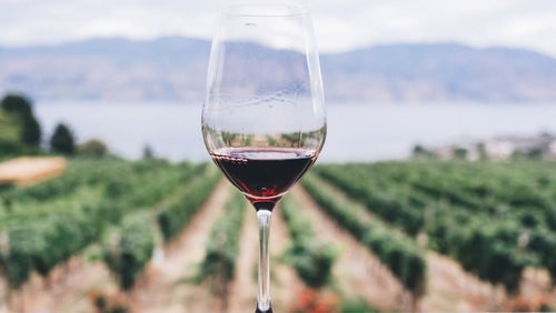 What Is Trans Resveratrol? | Benefits, Side Effects, Dosage