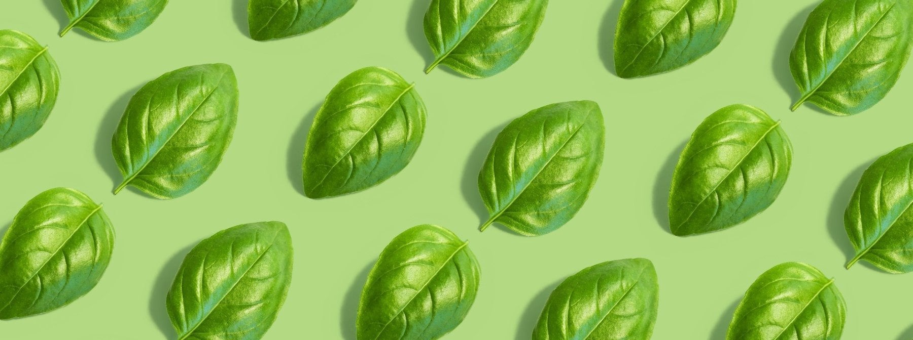 15 Foods High In Vitamin K