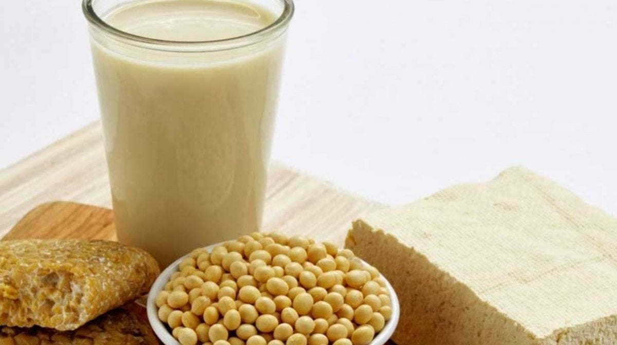 Soy Protein Health Benefits, Uses & Effects