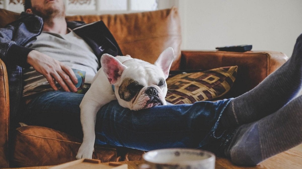 ¿Por qué son tan importantes los días de descanso?